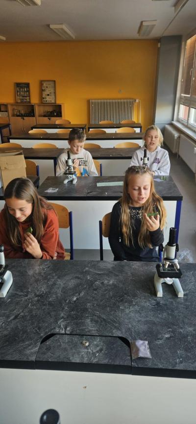 Poznáváme mikrosvět