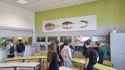 Veletrh středních škol