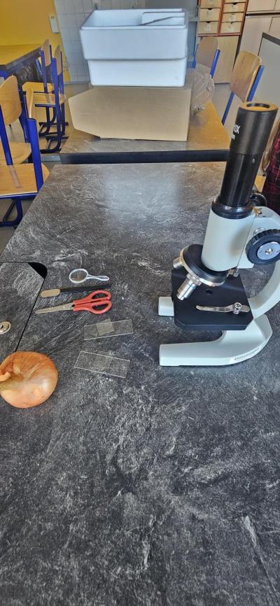 Poznáváme mikrosvět II.