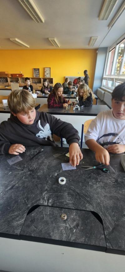 Poznáváme mikrosvět II.