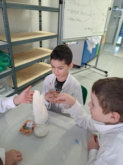 Žáci 3.A v laboratoři