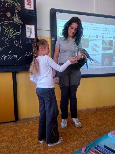 Sokolnictví trochu jinak